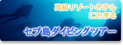 セブ島ダイビングツアー
