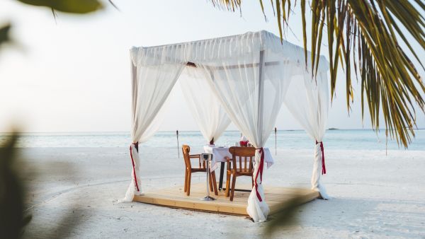  スペシャルダイニング