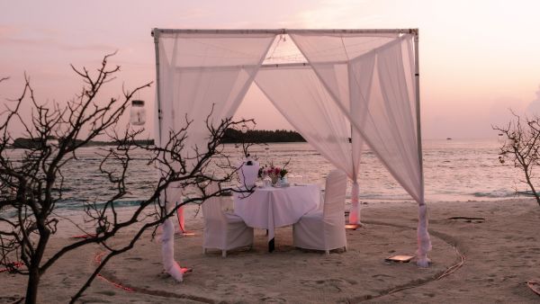  スペシャルダイニング