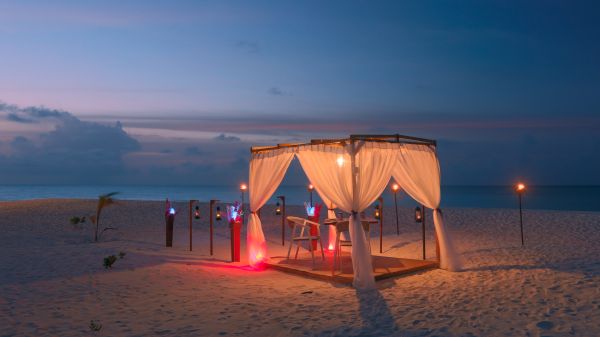  スペシャルダイニング