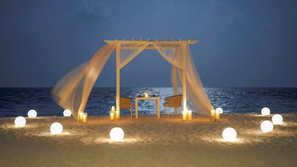 スペシャルダイニング