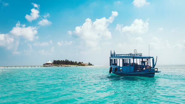  アクティビティ