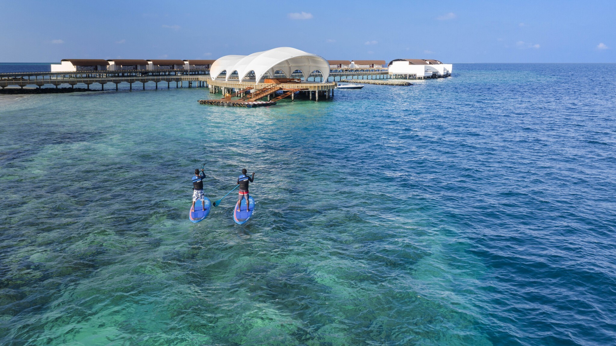  アクティビティ