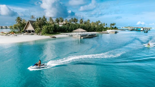 アクティビティ