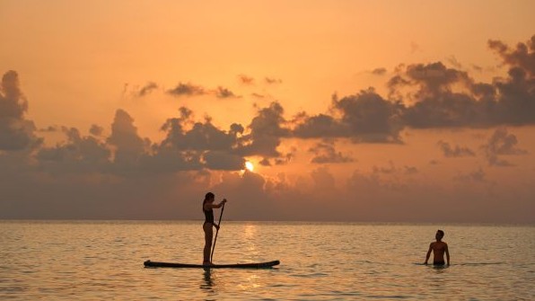 アクティビティ