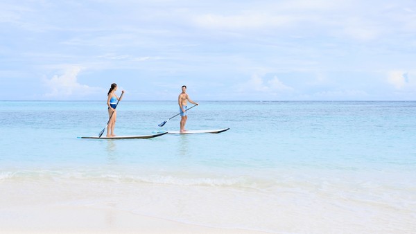 アクティビティ