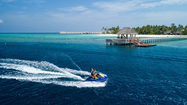 アクティビティ