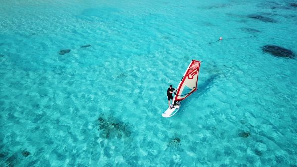 アクティビティ