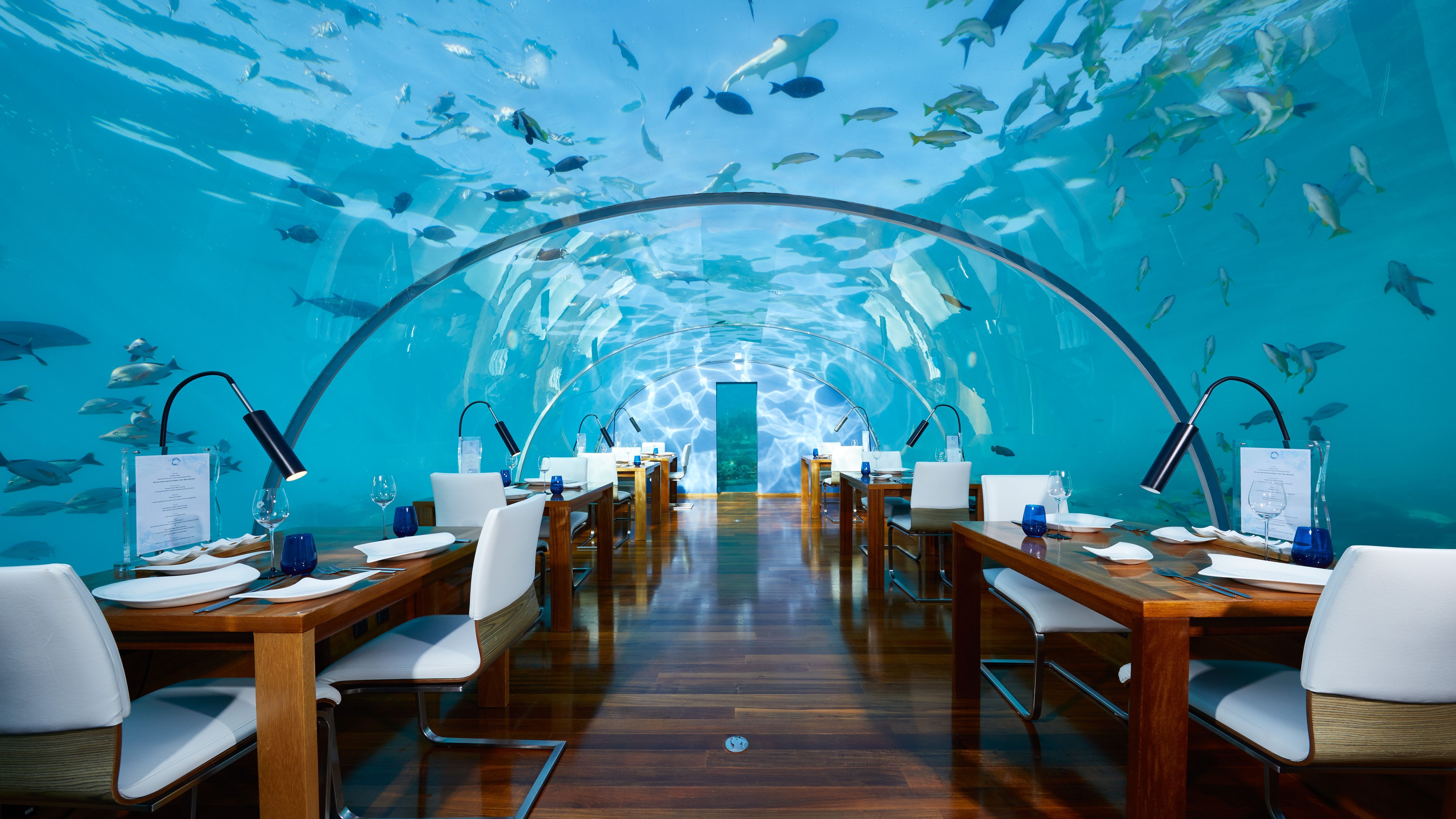 Ithaa Undersea Restaurant / イターアンダーザシーレストラン（水中レストラン）