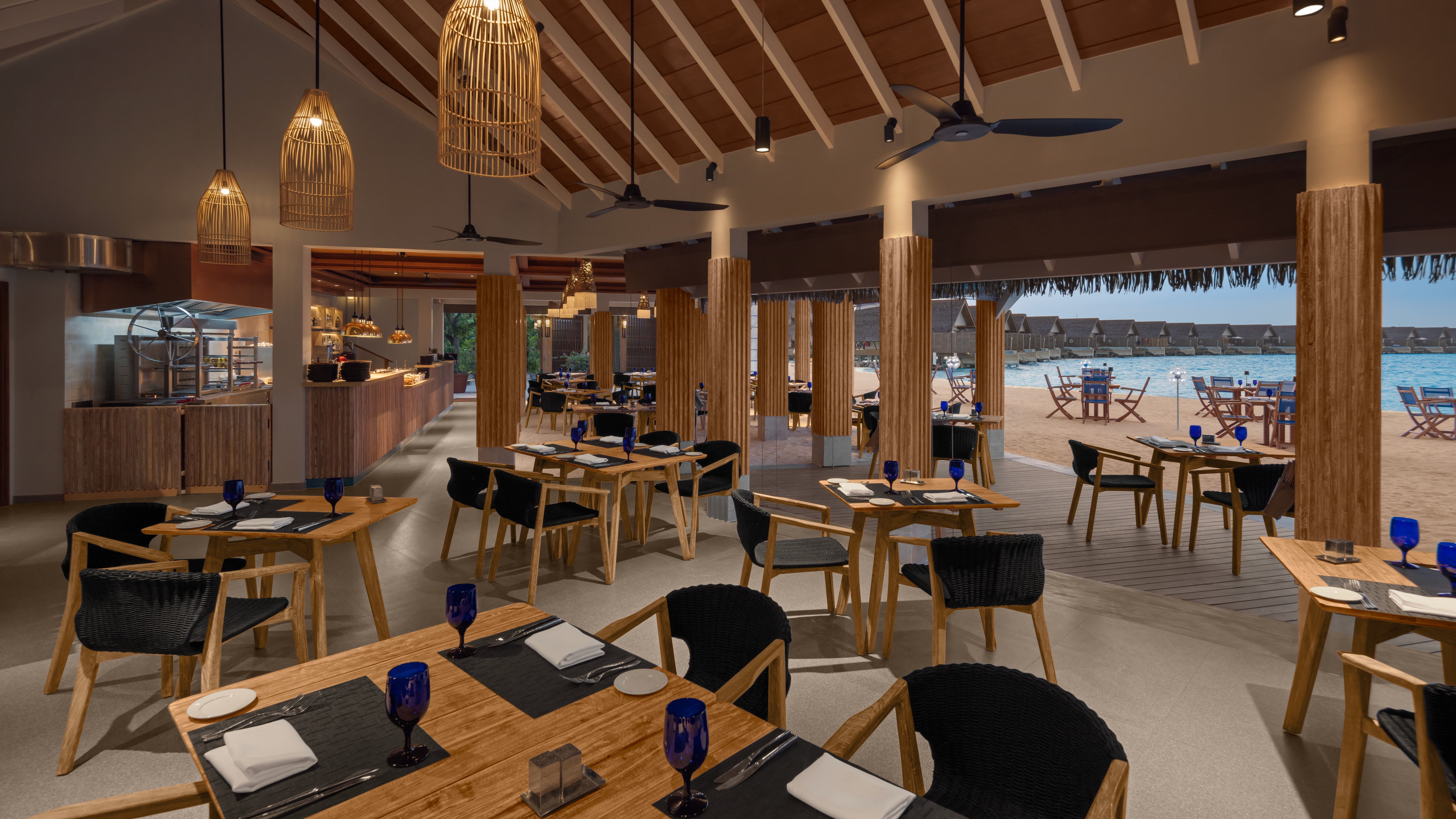 Carnivorous / カンニバス