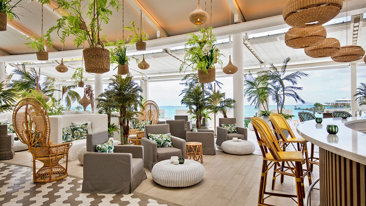 PALM COURT / パーム コート