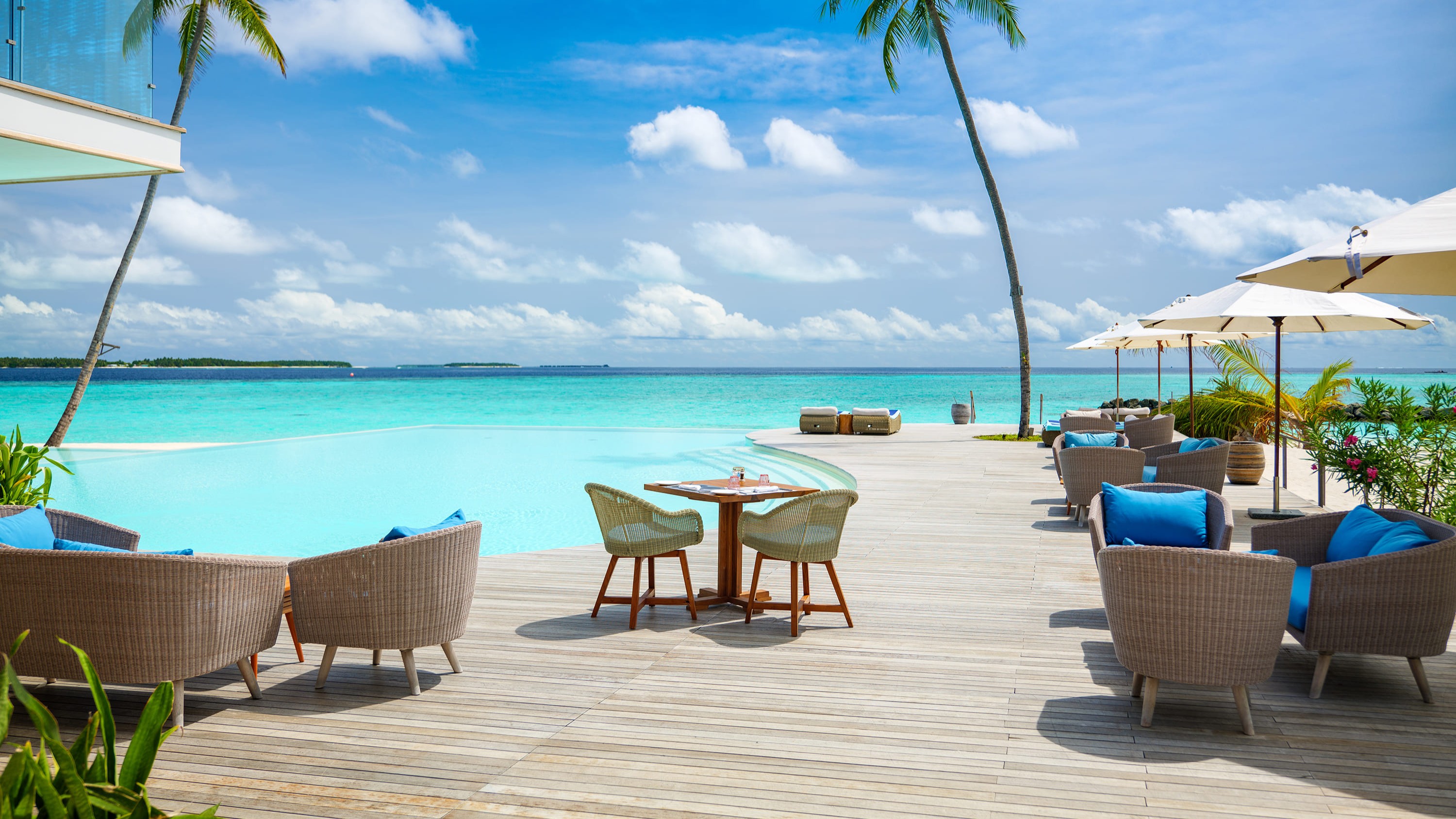 MIRTO POOL BAR / ミルト プールバー